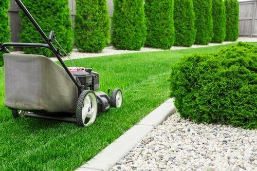 Freshly mown lawn bordered by shaped evergreens and a clean gravel edge