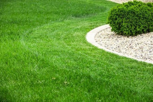 Healthy green lawn curving around a clean stone-edged planting bed