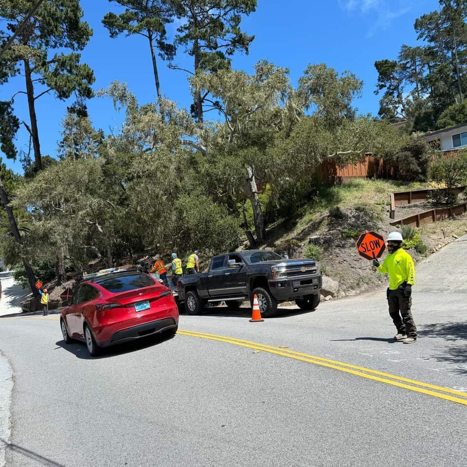Traffic cones and a crew member directing cars around a roadside landscaping job