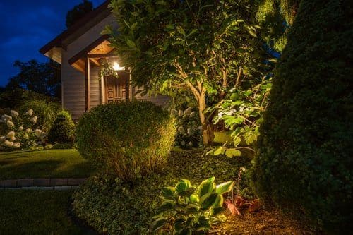 Landscape lighting illuminating shaped shrubs and a garden path at twilight